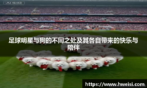 足球明星与狗的不同之处及其各自带来的快乐与陪伴